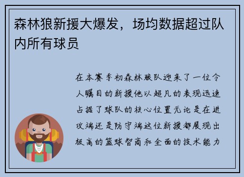 森林狼新援大爆发，场均数据超过队内所有球员